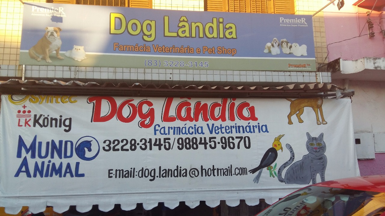 Dog landia